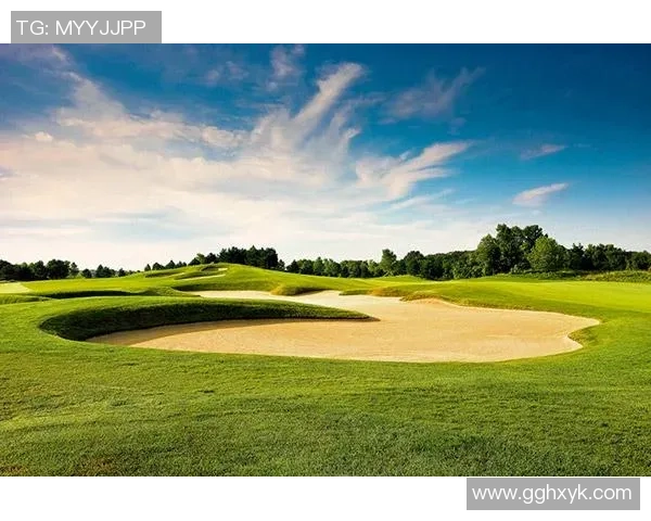 奥地利维也纳对决顿涅茨克矿工精彩赛事回顾与分析